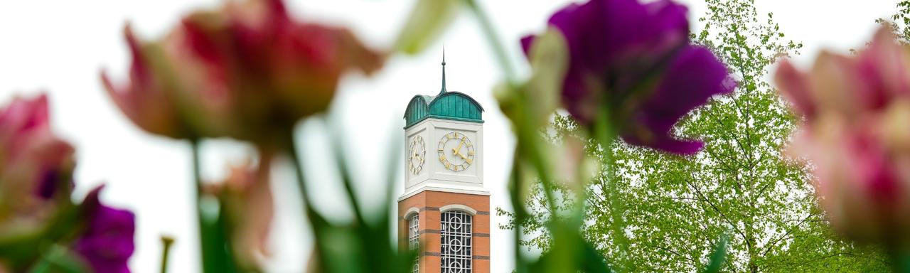 clocktower through flowers